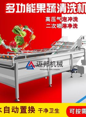 果蔬气泡洗机 水续果蔬菜洗清洗设备PYY 全自动大型商用连清叶类