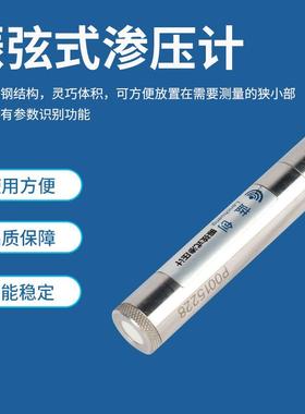 智振水弦式渗压计传LC-SY01感器隧坝道水能库大水位计孔隙测量压