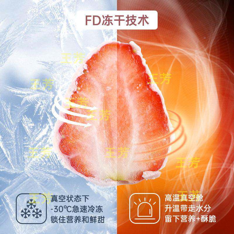 50方果蔬真空冻干空冻干干燥机 水果草莓脆30平方脆FD平低温冷