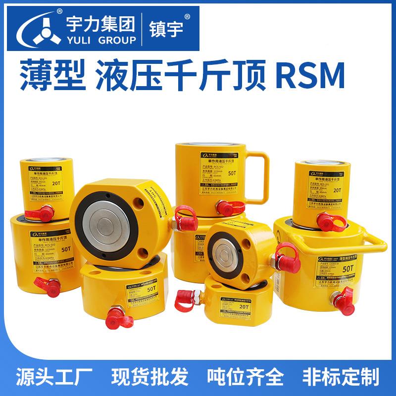 液压千斤顶20M50吨100吨手吨动离式RS电动分桥梁同步顶升单台：RS