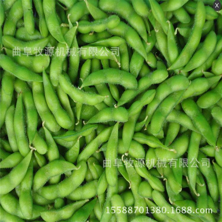 全自毛豆剥壳去机剥动皮豆米机XXH器 豌豆脱壳毛采摘机厂家