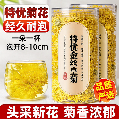 金丝皇菊一朵一杯朵朵金黄