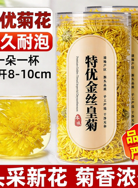 金丝皇菊一朵一杯四季下火常备