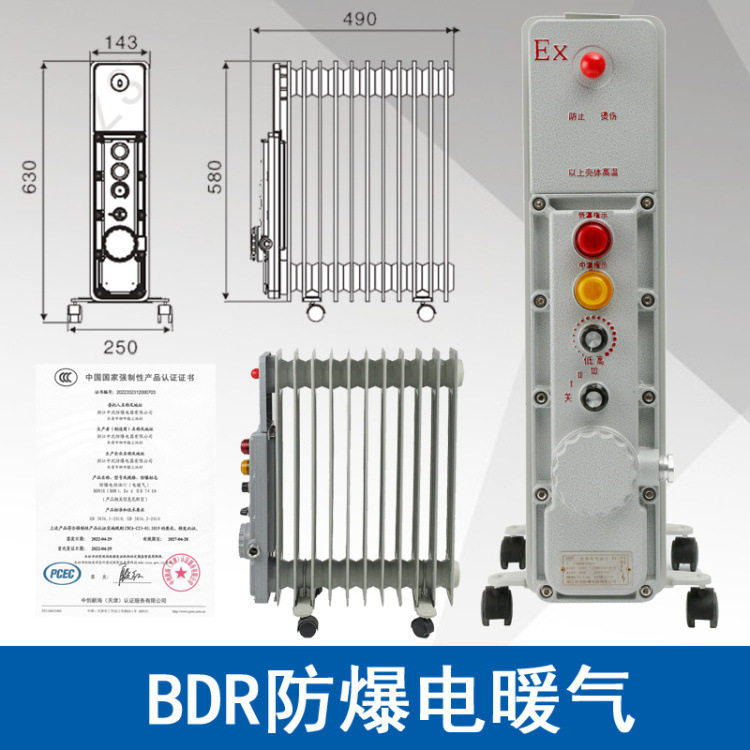 中沈防爆电热油汀BDR-2KW防爆电暖气取暖器功率2000W11片电压220V