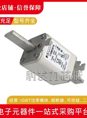 170M3965170M3966170M3967170M3968170M3969170M3970熔断器