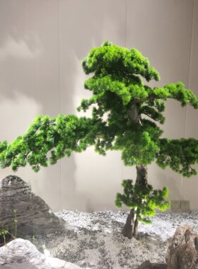 迎客松假树彷真松树美人松盆景罗汉松景观摆件新中式玄关造景装饰