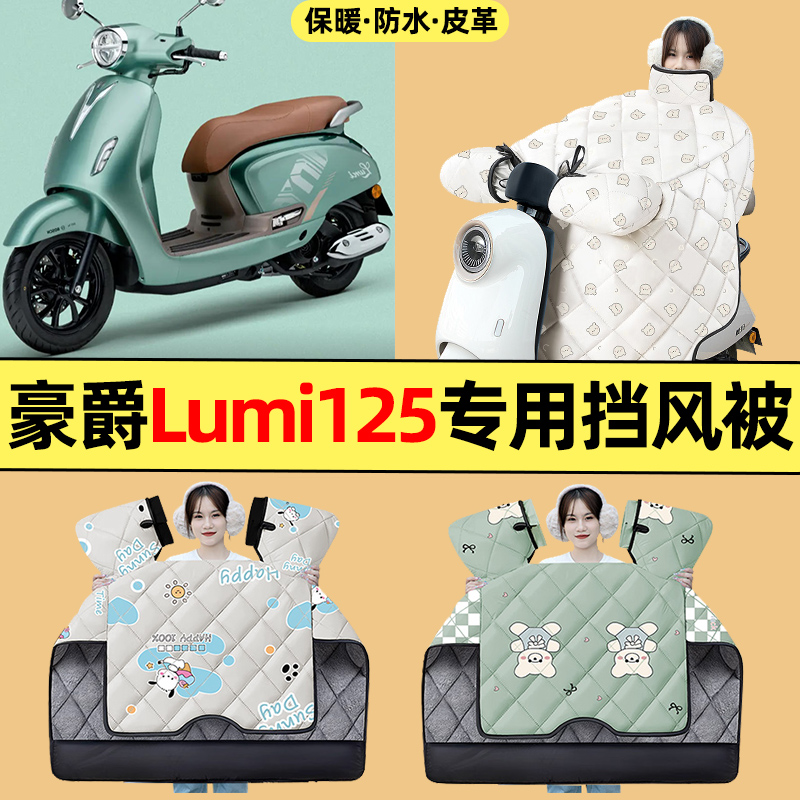 适用【豪爵Lumi125】挡风被