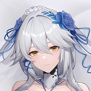 尘白禁区mmd  芬妮 动漫游戏等身抱枕可定制可选图可修复