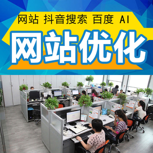 搜索seo网站上首页优化收录谷歌360抖音排名关键词快速照百度AI