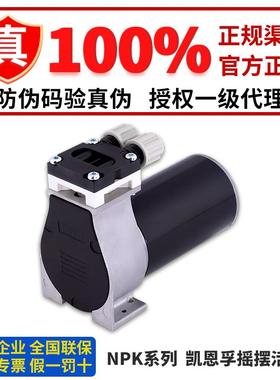 德国KNF摇摆活塞泵 压力泵NPK03KVDC-B4 NPK04 012 06 NPK09AC VA