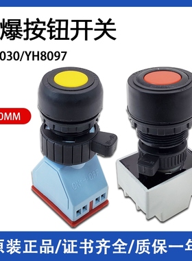 防爆按钮开关盒配件BA8030 YH8097内部芯子防爆微动开关220V 380V