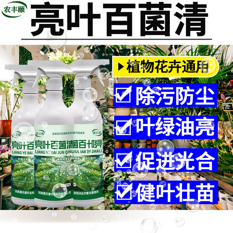 室内盆栽花卉植物发财树专用杀虫剂灭菌叶黄黑点营养液绿萝通用