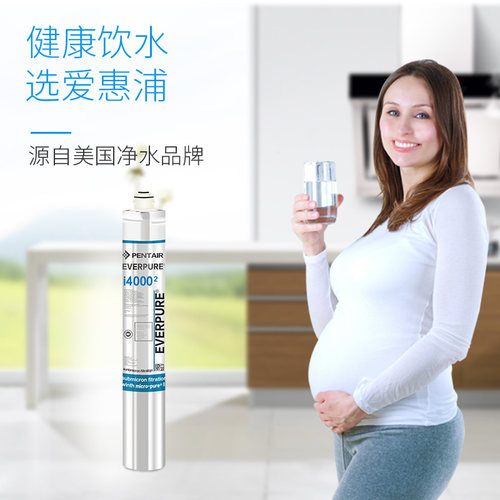 新品爱惠a浦净水器I40002滤芯 商用厨房直饮制冰机专用i4000 大流