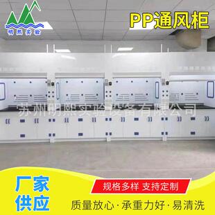 步入式 实验室整体式 PP通风柜通风橱化验室耐酸碱腐蚀排风柜抽气柜