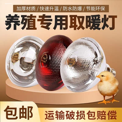 浴霸灯泡取暖灯275W家用卫生间老式灯暖灯泡专用防水防爆150W灯泡