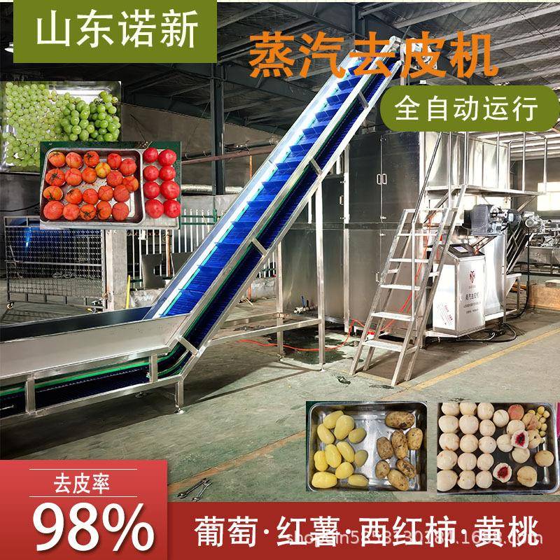 诺新大型物理葡萄蒸汽去皮机西红柿酱加工脱皮机黄桃罐头去皮设