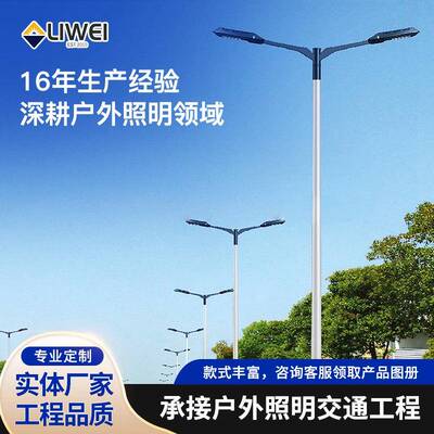 新农村30wled户外路灯厂家直销60w路灯头小金豆路灯仿飞路灯