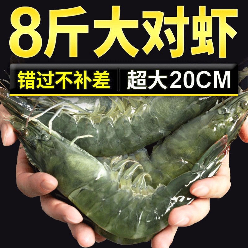 青岛大虾鲜活超号速冻海冷白对新
