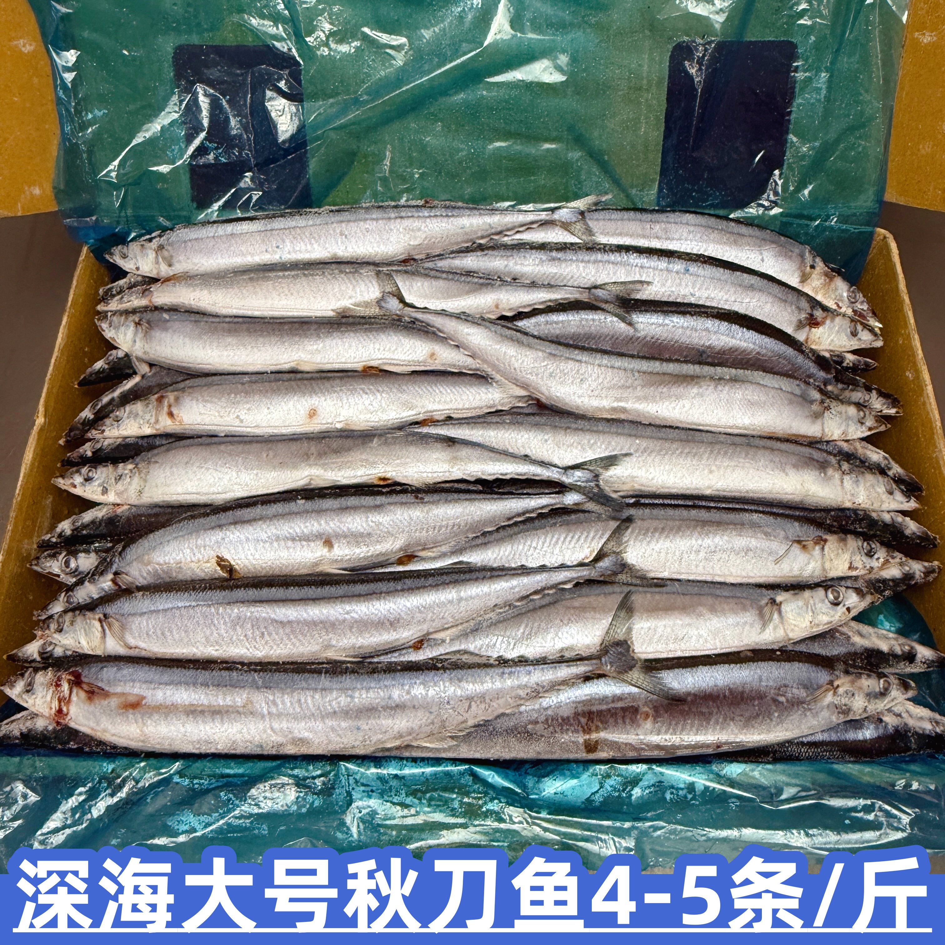 新鲜冷冻秋刀鱼船冻秋刀鱼6斤
