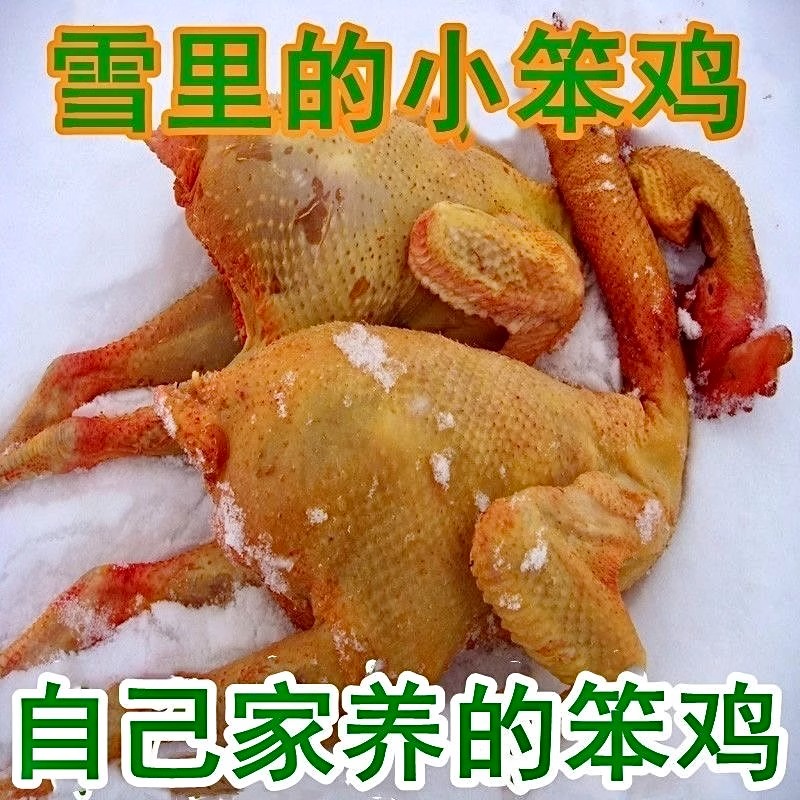 正宗东北农家散养鸡小笨鸡公鸡