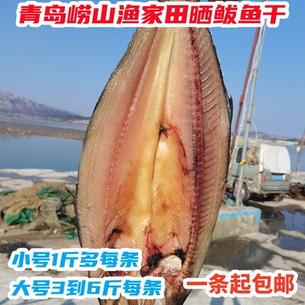 青岛崂山王哥庄甜晒鲅鱼干渔家海水清洗晾晒包邮