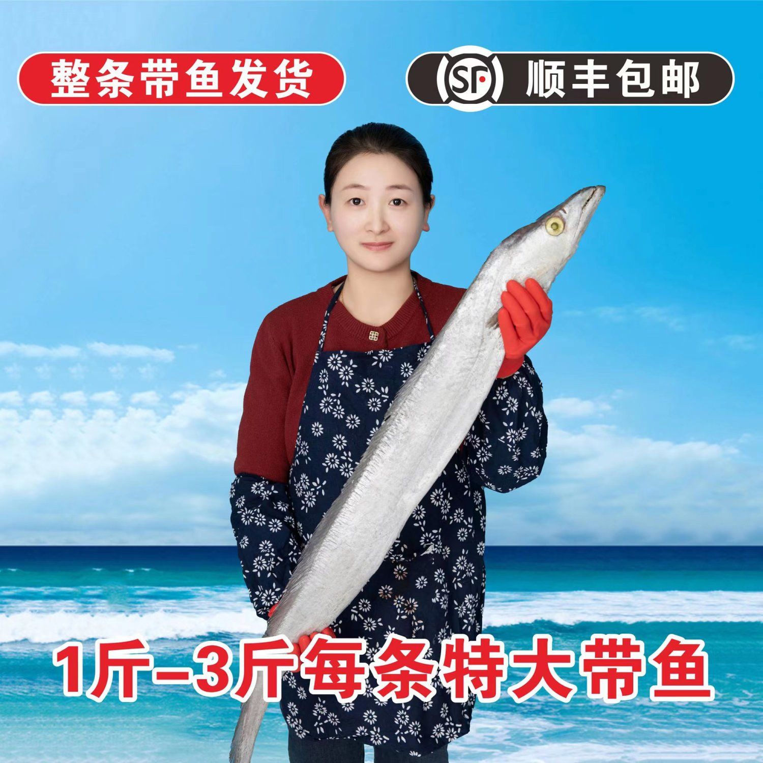 特大整条深海带鱼小眼刀鱼