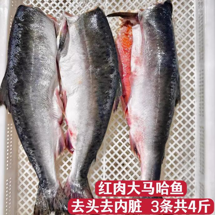 大马哈鱼新鲜冷冻俄罗斯洄游非佳木斯抚远东北特产去头去内脏