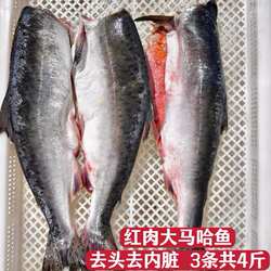 大马哈鱼新鲜冷冻俄罗斯洄游非佳木斯抚远东北特产去头去内脏
