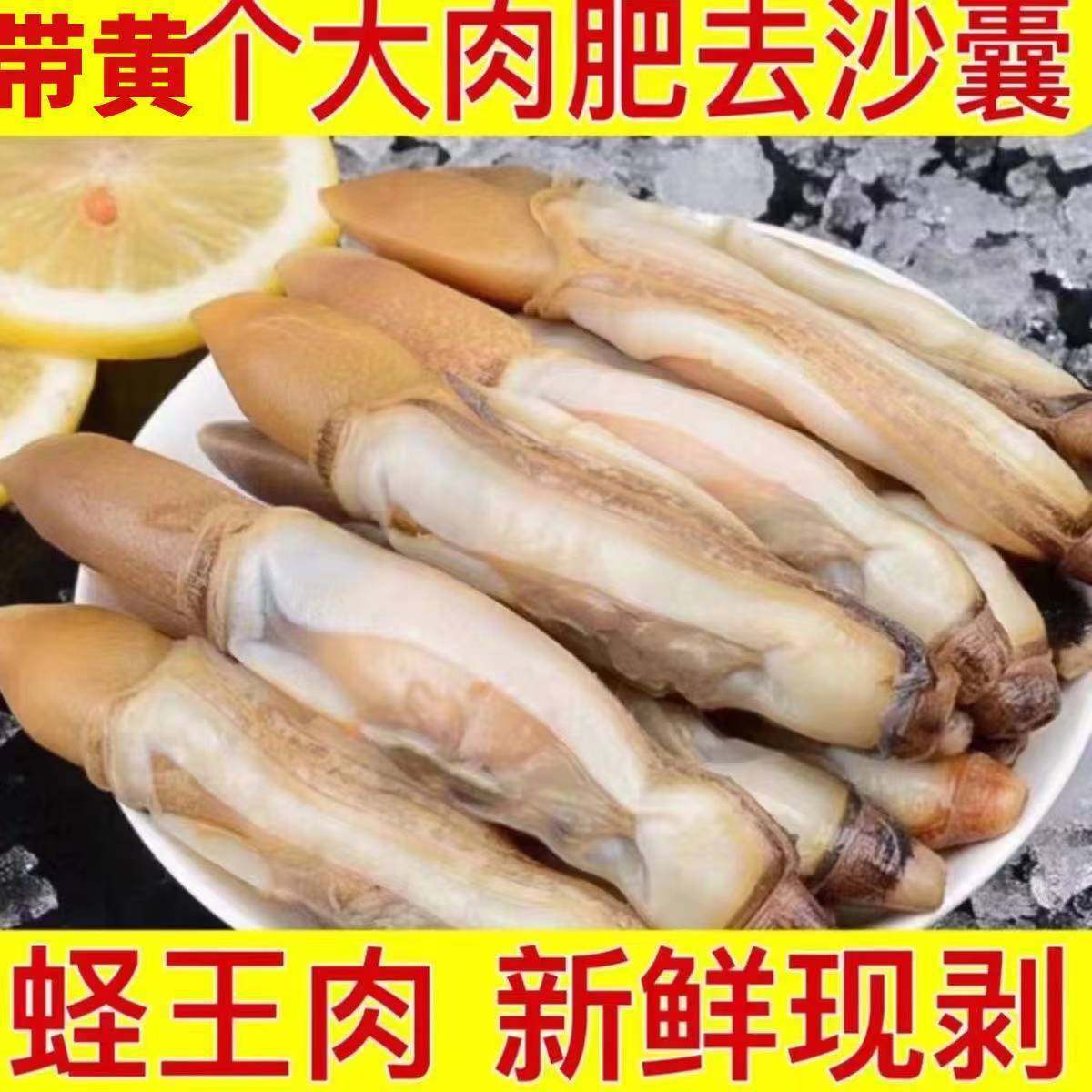 新鲜现剥大号带黄蛏王肉蛏子
