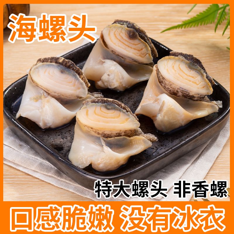 丹东大个海螺头海螺肉冷冻