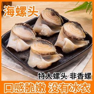 丹东大个海螺头海螺肉冷冻海螺响螺鲜活特大号即食海螺新鲜熟冻
