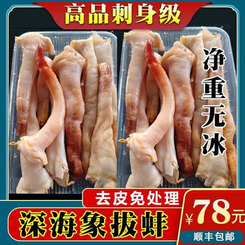 深海象拔蚌刺身鲜活即食切片象鼻蚌蚌新鲜冷冻海鲜顺丰400g份