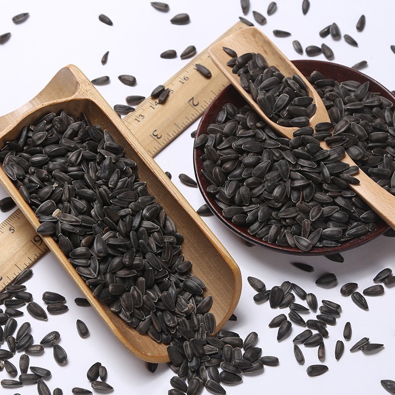 黑珍珠小瓜子葵花籽油葵籽鹦鹉鸟食鹦鹉鸟粮 鹦鹉鸟食鸟饲料5斤装