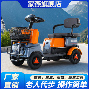 家燕新款小巴士电动四轮车双人座老年人残疾人助残代步车出游代步