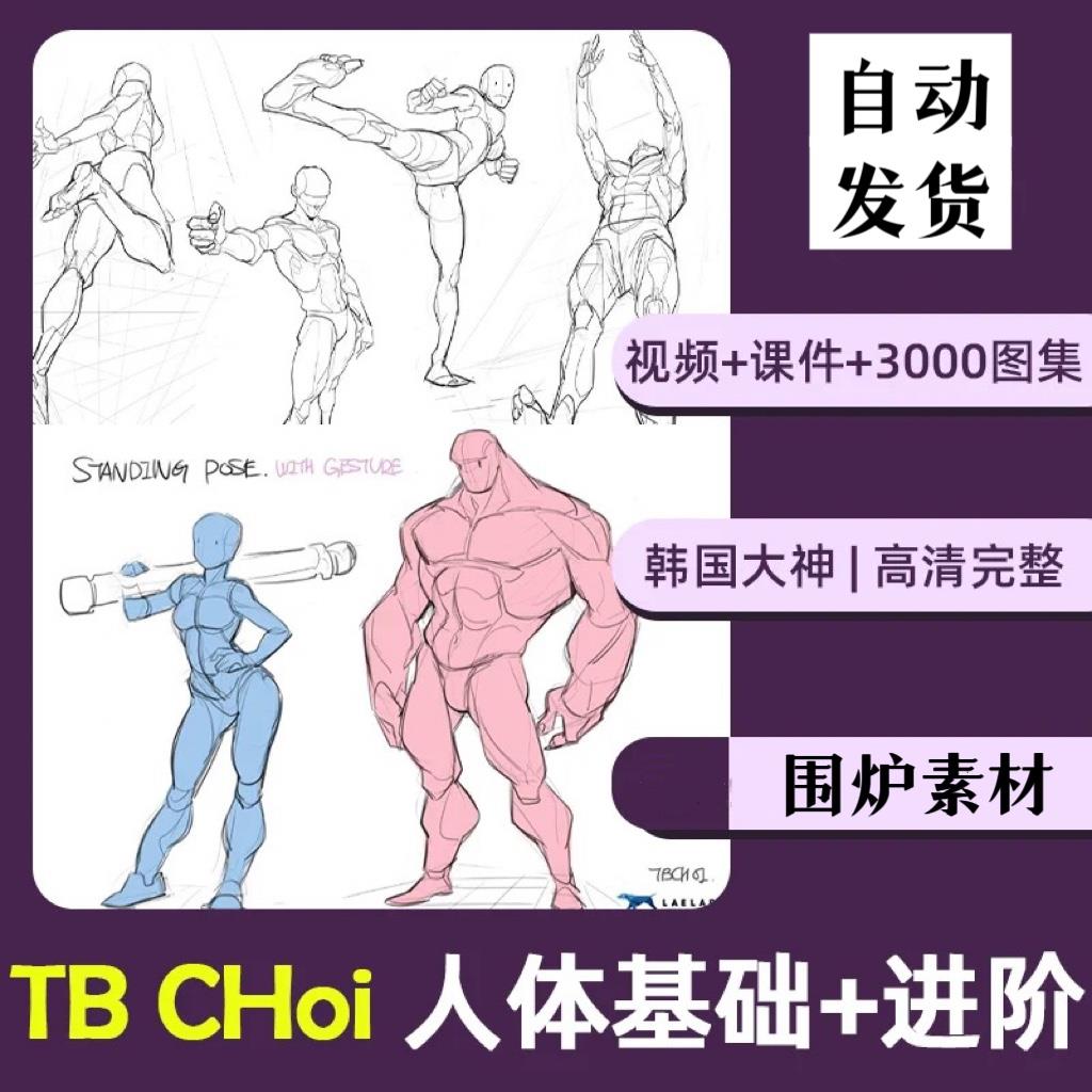 TB choi人体结构基础进阶绘画教程素描速写线稿PS角色2022CG教程