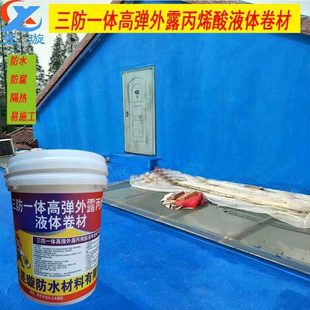 外露高弹橡胶彩色液体卷材屋顶防水隔热材料剂补漏胶裂缝灌浆修