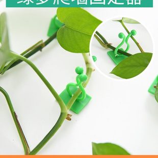 绿萝爬上花神器绿植固定器绿箩家用无痕卡子扣绿枝爬藤杆夹子挂钩
