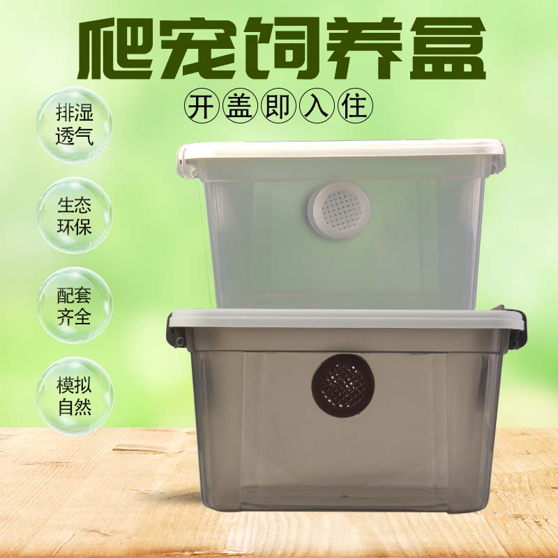 爬宠饲养箱爬虫防逃逸豹纹睫角守宫蜘蛛角蛙蝎子蜈蚣R属饲养盒