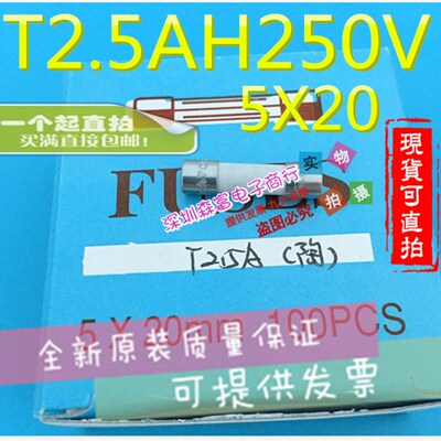 T10AH250V T2.5AH250V  陶瓷保险管 陶瓷保险丝 5*20MM 无引脚
