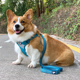 柯基犬牵引绳狗狗胸背带背心式 大型遛狗绳子中小型犬比熊柴犬用品