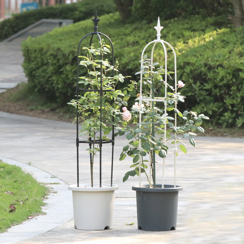 家用U型尖头室外植物花支架爬藤架 园艺简易绿植棒棒糖月季攀爬架