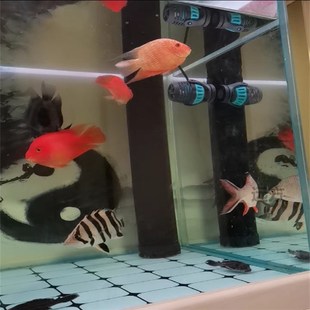 鱼缸三重溢流配件玻璃鱼缸改下过滤上下水管件套装强排75孔上水25