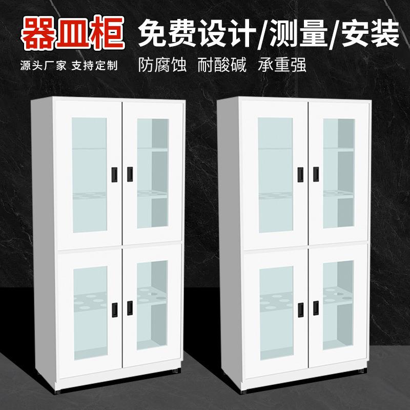 学校实验室仪器柜子文件储藏全钢PP药品柜防腐蚀化学通风器皿柜