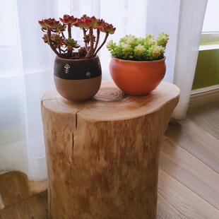 香樟木墩实木凳子根雕椅凳换鞋凳原木树桩木桩酒店雕刻树头摆件