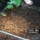 乌龟缸底砂小石子鱼缸造景布景底石头垫材黑色天然底沙水族箱沙石