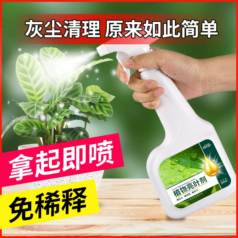 花大师植物亮叶剂花卉除污剂叶面光亮剂清洗灰尘增光喷净免稀释肥