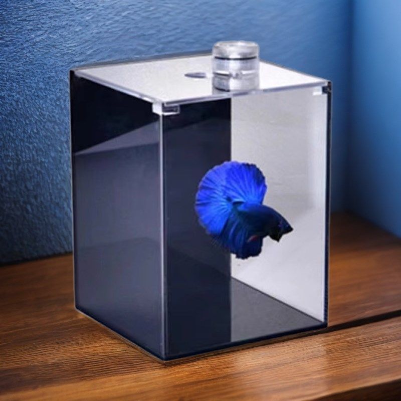 亚克力泰国斗鱼缸有机玻璃桌面办公室小型观赏鱼缸水族箱双格多格