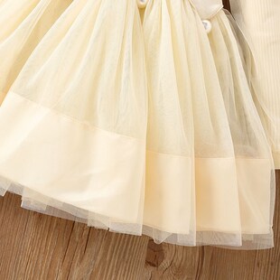 女童毛衣裙子秋冬装2024新款儿童女宝宝加绒加厚公主裙冬季连衣裙