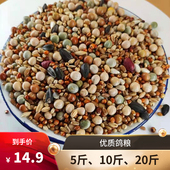 鸽子粮无玉米鸽粮食营养饲料5斤信鸽观赏鸽赛鸽通用幼鸽成鸽粮