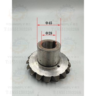 齐齐哈尔X5040 Z18齿结合器螺旋伞齿轮 X6140铣床工作台Z18